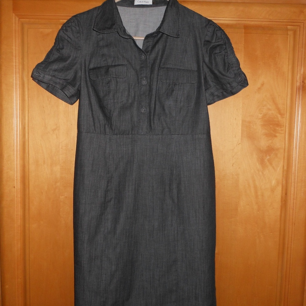 Calvin Klein Stretch Denim Dress